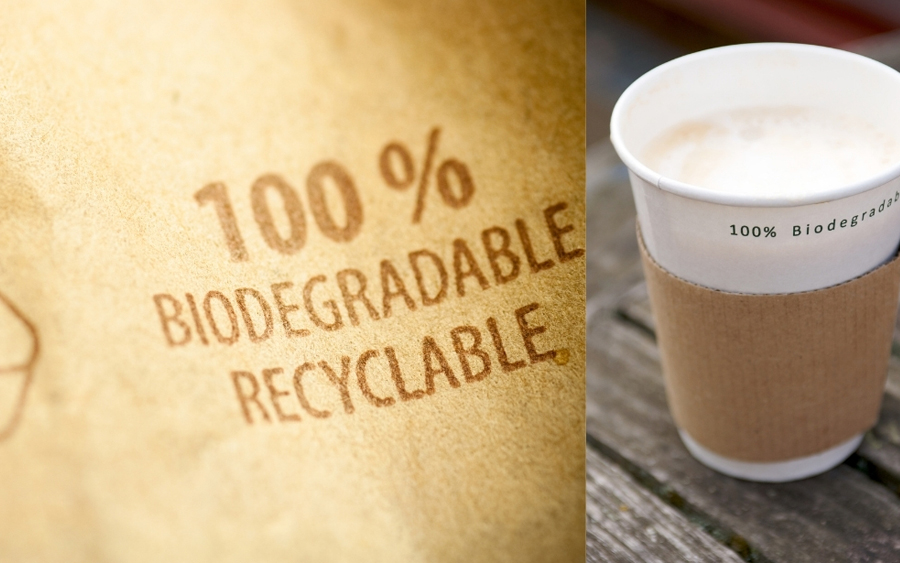 Biodegradable Palm Plates