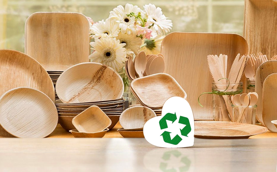 Recyclable Green Palm Plates
